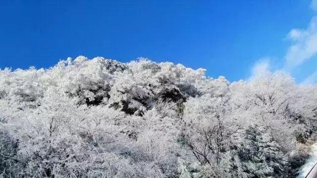 俄外交部:大规模军演“坚定捍卫者”标志着重返冷战模式