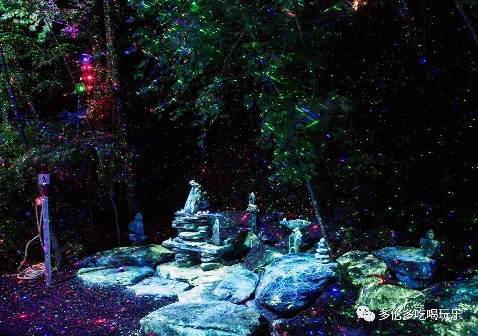 拯救精灵的土地10